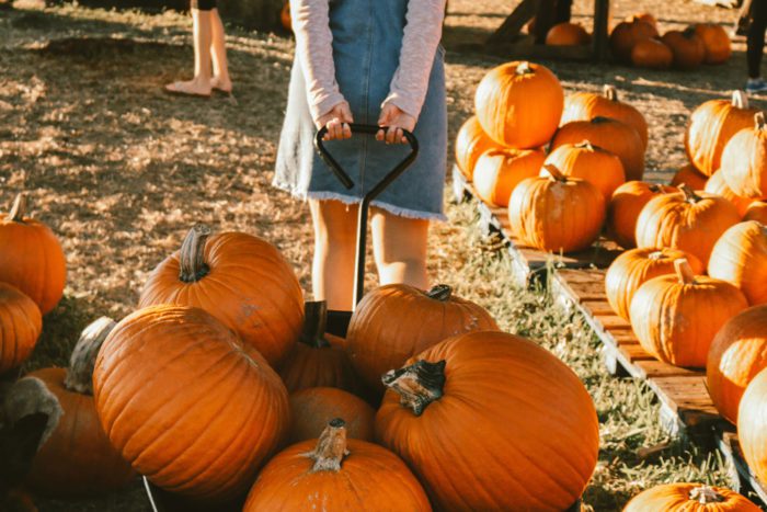 8 Fun Fall Activities Around Nashville - Thrift Smart